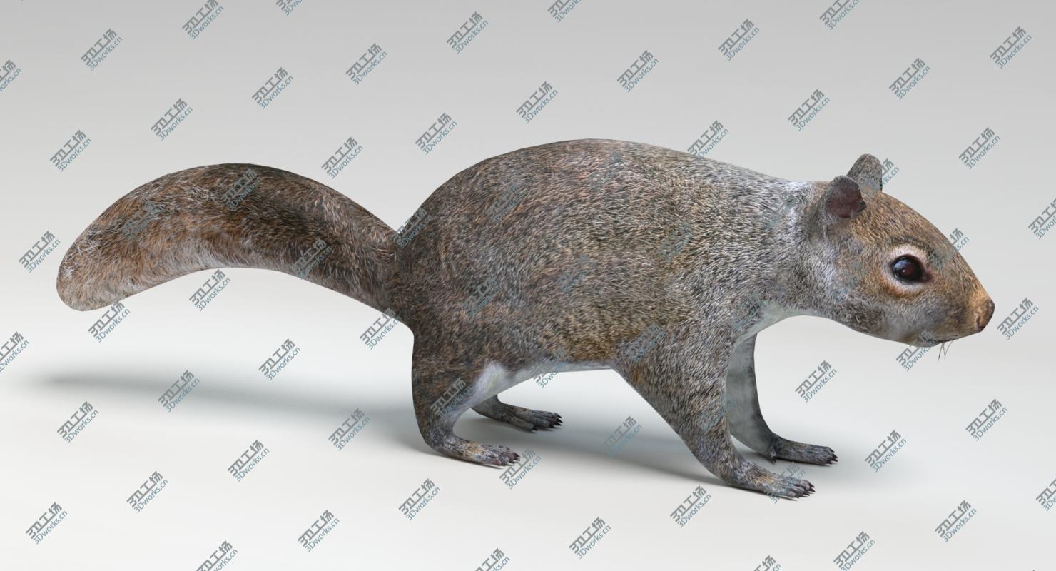 images/goods_img/2021040231/3D Animated Game Animals Set 1 model/2.jpg